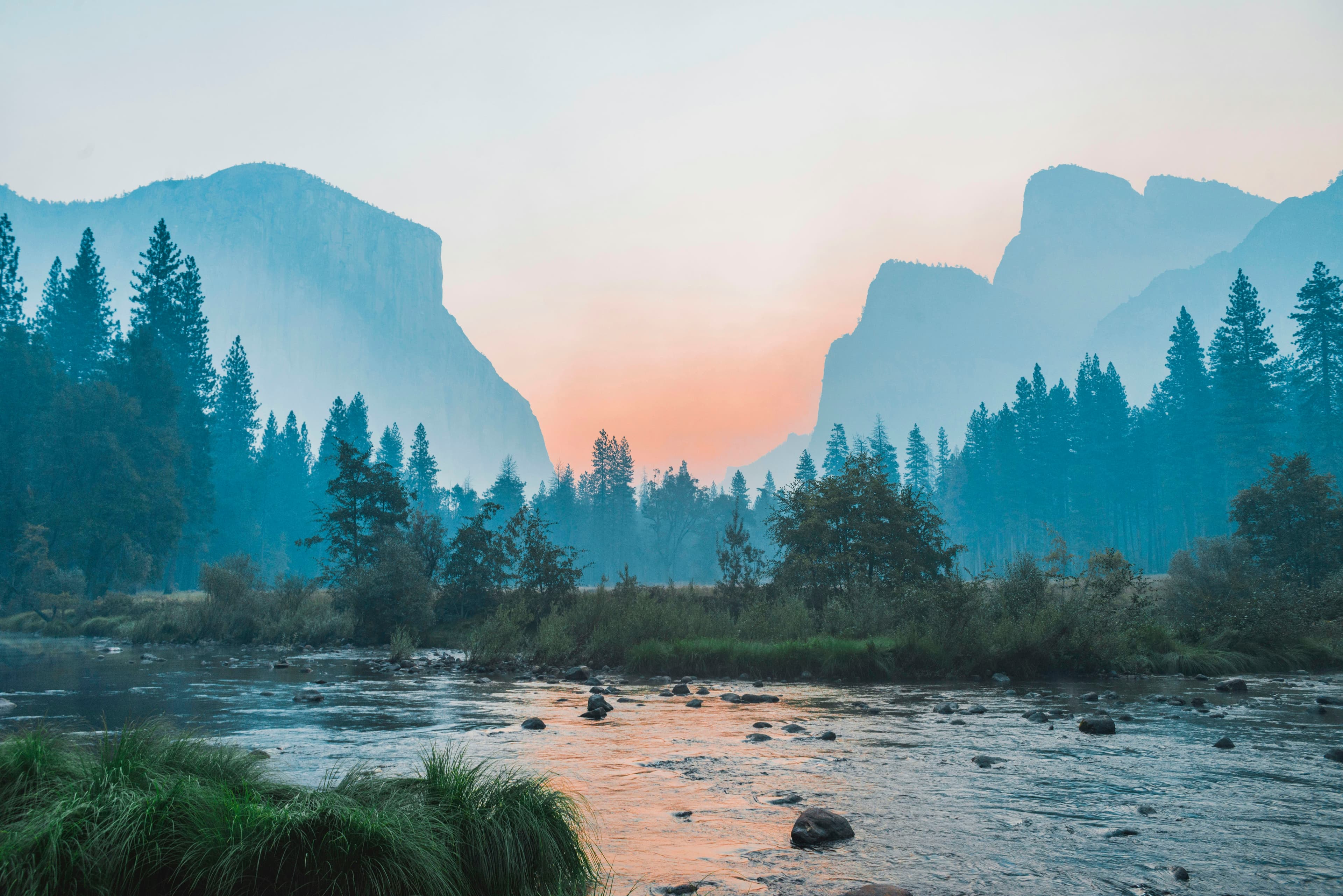 Trail running shoes on rugged forest terrain; Photo by Tomaz Barcellos on Unsplash